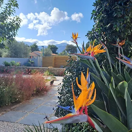 Villa Belle Avec Piscine Vue Montagne A 10 Mn De La A Argeles-sur-Mer